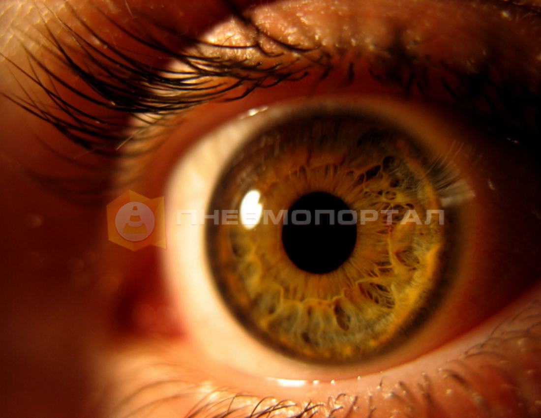 Как объективно оценить цвет? Как объективно оценить цвет?