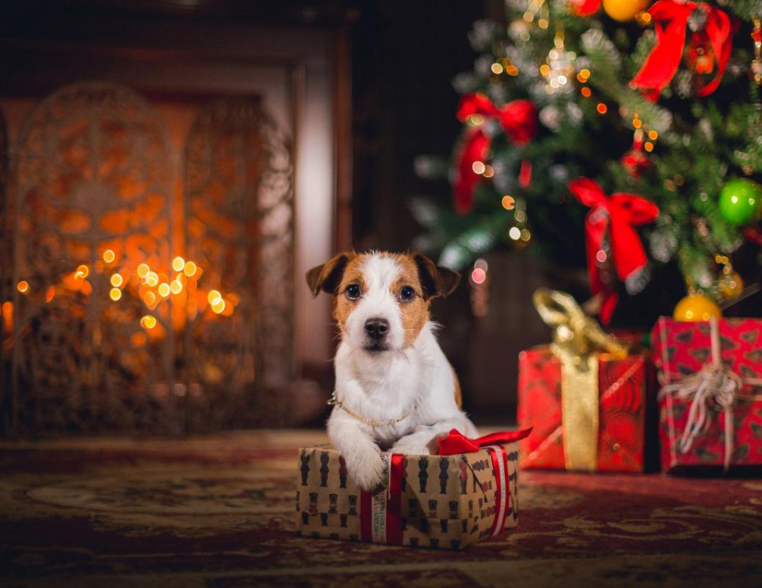 Поздравляем всех с наступающим 2018 годом! Поздравляем всех с наступающим 2018 годом!